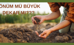 Dönüm Mü Büyük Dekar mı?