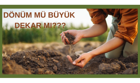 Dönüm Mü Büyük Dekar mı?