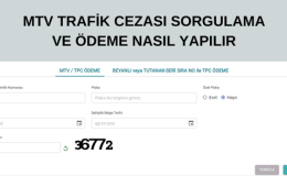 MTV Trafik Cezası Sorgulama Ve Ödeme Nasıl Yapılır?