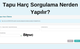 Tapu Harcı Sorgulama Nerden Yapılır?