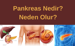 Pankreas Kanseri Nedir?  Neden Olur?