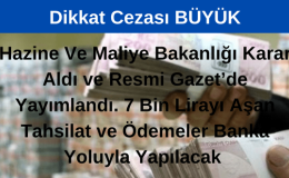 Hazine ve Maliye Bakanlığı 7 Bin Liranın Üstündeki Tahsilat ve Ödemeler için Banka Aracılığıyla Yapılmasını Zorunlu Hale Getirdi