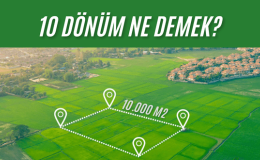 10 Dönüm Ne Dedemek?