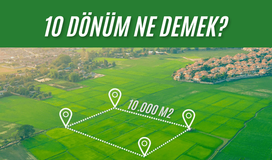 10 Dönüm Ne Dedemek?