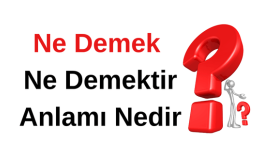 Ne Demek? TDK'ya Göre Ne Demek? Ne Demek Nasıl Yazılır