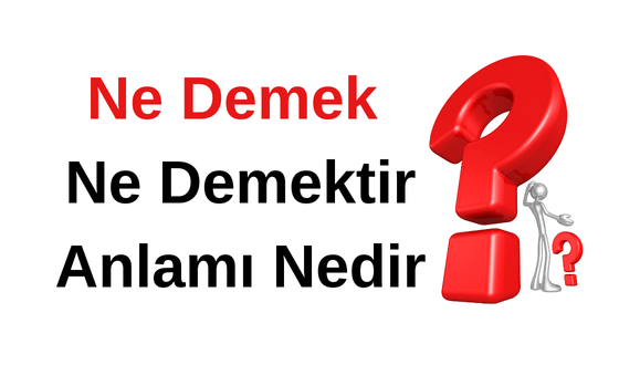 Ne Demek? TDK'ya Göre Ne Demek? Ne Demek Nasıl Yazılır