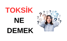 Toksik Ne Demek? Toksik İlişki Ne Demek? Toksik Davranış Ne Demek? Toksik İlişki Nedir? Toksik İnsan Ne Demek?