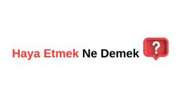 Haya Etmek Ne Demek? Haya Nedir?