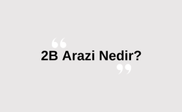 2B Arazi Nedir? 2B Ne Demek? 2B Araziye Ev Yapılır mı? 2B Arazi Sorgulama Nasıl yapılır? 2B Arazi Alınır Mı?