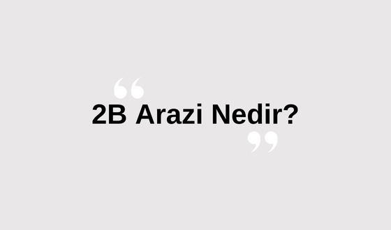 2B Arazi Nedir? 2B Ne Demek? 2B Araziye Ev Yapılır mı? 2B Arazi Sorgulama Nasıl yapılır? 2B Arazi Alınır Mı?