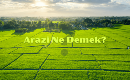 Arazi Ne Demek? Arsa Arazi Farkı Nedir? Arazi Anlamı Nedir?