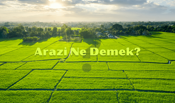 Arazi Ne Demek? Arsa Arazi Farkı Nedir? Arazi Anlamı Nedir?