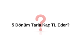 5 Dönüm Tarla Kaç TL? 5 Dönüm Tarla Kaç TL Eder? 5 Dönüm Tarlaya Ev Yapılır mı? 5 Dönüm Tarla Kaç Metrekare?