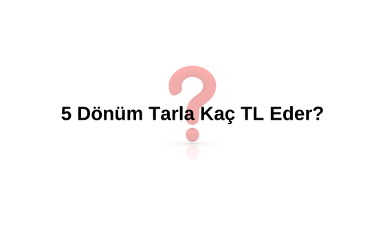 5 Dönüm Tarla Kaç TL? 5 Dönüm Tarla Kaç TL Eder? 5 Dönüm Tarlaya Ev Yapılır mı? 5 Dönüm Tarla Kaç Metrekare?