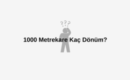 1000 Metrekare Kaç Dönüm?