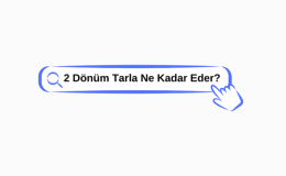 2 Dönüm Tarla ne kadar eder?