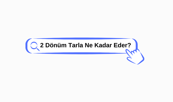 2 Dönüm Tarla ne kadar eder?