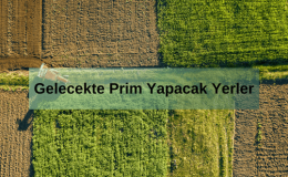 Prim Ne Demek? Gelecekte Prim Yapacak Yerler