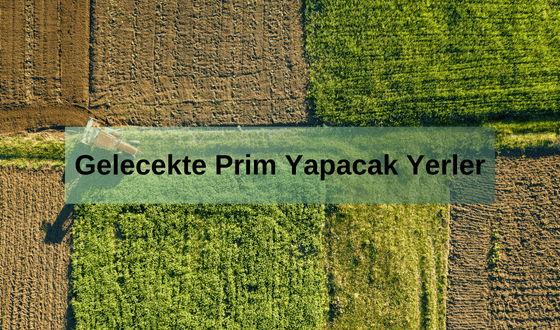 Prim Ne Demek? Gelecekte Prim Yapacak Yerler