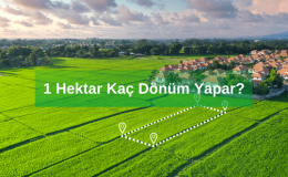 Hektar Ne Demek? 1 Hektar Kaç Dönüm Yapar?