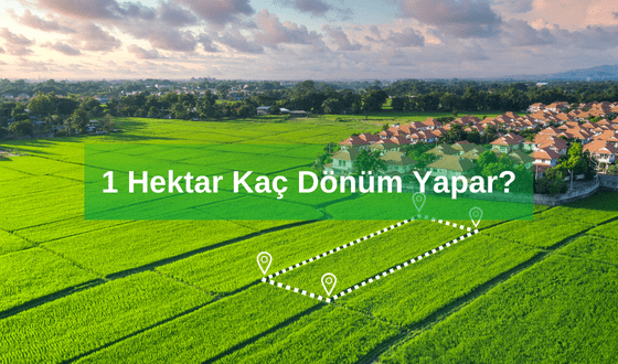 Hektar Ne Demek? 1 Hektar Kaç Dönüm Yapar?