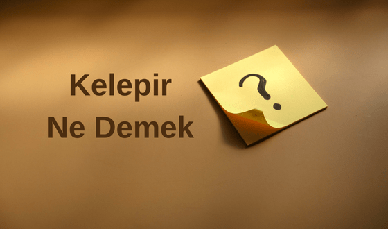 Kelepir Ne Demek? Kelepir Almak Ne Demek? Kelepir Ev Ne Demek? Kelepir Fiyata Ne Demek?