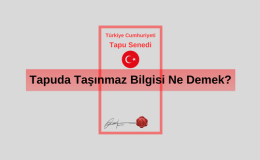 Taşınmaz Nedir? Taşınmaz Mal Ne Demek Oluyor? Tapuda Taşınmaz Bilgisi Ne Demek? Taşınmaz No Nedir?