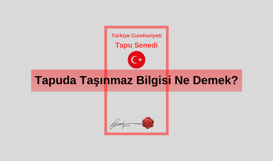 Taşınmaz Nedir? Taşınmaz Mal Ne Demek Oluyor? Tapuda Taşınmaz Bilgisi Ne Demek? Taşınmaz No Nedir?