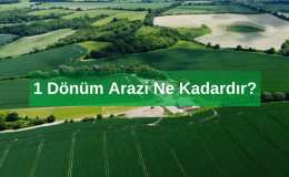 Arazi Nedir? 1 Dönüm Arazi Ne Kadardır? 1 Dönüm Tarla Ne Kadar Eder?