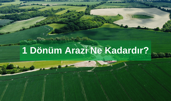 Arazi Nedir? 1 Dönüm Arazi Ne Kadardır? 1 Dönüm Tarla Ne Kadar Eder?