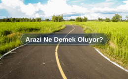 Arazi Ne Demek Oluyor? Arazi Sözlük Anlamı?