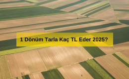 Dönüm Ne Demek? 1 Dönüm Tarla Ne Kadar Eder? 1 Dönüm Tarla Kaç TL Eder 2025? 1 Dönüm Tarla Fiyatları