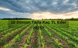 10 Dönüm Tarla Kaç TL Eder 2025? 10 Dönüm Ne Kadar?