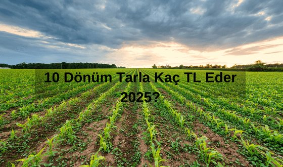 10 Dönüm Tarla Kaç TL Eder 2025? 10 Dönüm Ne Kadar?