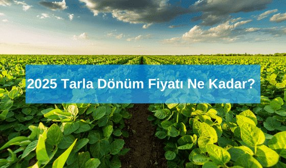 Tarla Ne Demek? 2025 Tarla Dönüm Fiyatı Ne Kadar?