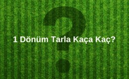 Dönüm Nedir? 1 Dönüm Tarla Kaça Kaç?