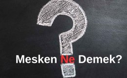 Mesken Ne Demek? Mesken Ne Anlama Gelir? Tapuda Mesken Ne Demek?