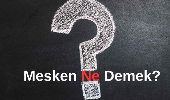 Mesken Ne Demek? Mesken Ne Anlama Gelir? Tapuda Mesken Ne Demek?