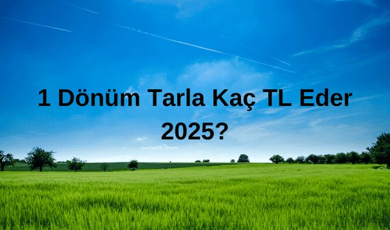 1 Dönüm Tarla Kaç TL Eder? Çanakkale, Balıkesir ve İstanbul’daki Güncel Tarla Fiyatları