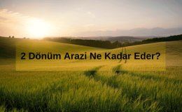 Arazi Ne Demek? 2 Dönüm Arazi Ne Kadar Eder? 2 Dönüm Yer Ne Kadar?