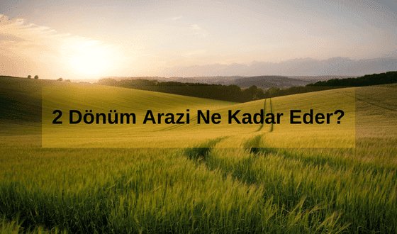 Arazi Ne Demek? 2 Dönüm Arazi Ne Kadar Eder? 2 Dönüm Yer Ne Kadar?