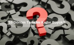 Tarla Nedir? 10 Dönüm Tarla Ne Kadar Büyük? 10 Dönüm Tarla Satılır Mı?