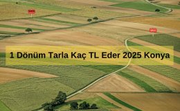 1 Dönüm Tarla Kaç TL Eder 2025 Konya