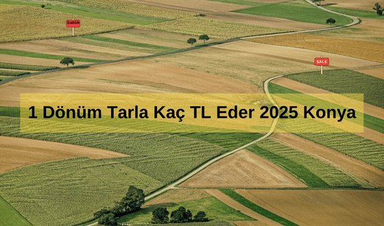 1 Dönüm Tarla Kaç TL Eder 2025 Konya