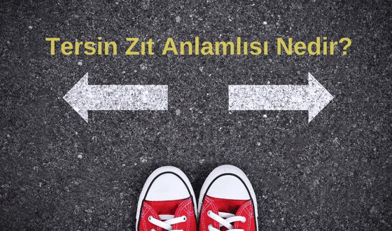 Ters Ne Demek? Tersin Zıt Anlamlısı Nedir?