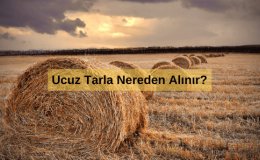 Ucuz Tarla Nereden Alınır? Türkiye'de En Ucuz Tarla Fiyatları