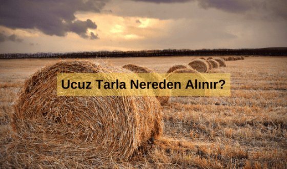 Ucuz Tarla Nereden Alınır? Türkiye'de En Ucuz Tarla Fiyatları